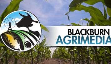 Blackburn Agrimedia 