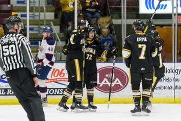 The Sarnia Sting celebrate a goal vs. Saginaw - March 26, 2019 (Photo courtesy of Metcalfe Photography)