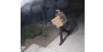 Surveillance photo of a suspect seen at an Exmouth Street apartment. April 10, 2024. Sarnia police photo. 