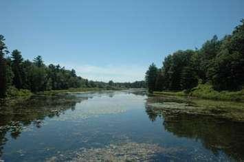 Pinery Provincial Park File photo.