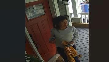 An alleged porch pirate caught on video surveillance in Sarnia on July 31 (Photo by: Sarnia police)