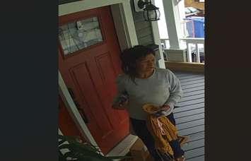 An alleged porch pirate caught on video surveillance in Sarnia on July 31 (Photo by: Sarnia police)