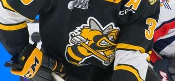 Sarnia Sting, Photo courtesy of Metcalfe Photography. 