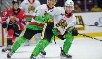 Sarnia Sting host Owen Sound on December 14, 2024 (Photo by: Darren Metcalfe Photography)