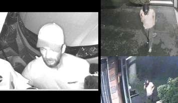 Security camera images of one of the men suspected in a theft on Cathcart Boulevard on August 31, 2024. Images courtesy Sarnia police.