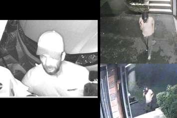 Security camera images of one of the men suspected in a theft on Cathcart Boulevard on August 31, 2024. Images courtesy Sarnia police.