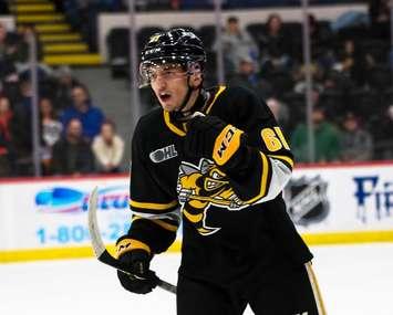 Christian Kyrou of the Sarnia Sting. Photo by Natalie Shaver/OHL Images
