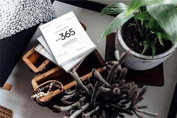 "pursuit: 365" a book featuring the stories of 365 Canadian women launches on International Women's  Day. Photo courtesy of Co-publisher Jennifer Angers Daerendinger.