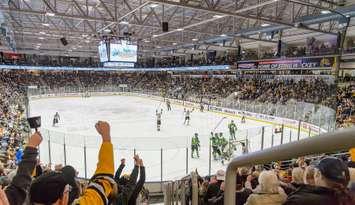 Sarnia Sting home to London Knights, December 28, 2023. Photo by Metcalfe Photography.