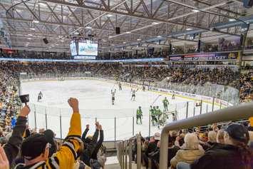 Sarnia Sting home to London Knights, December 28, 2023. Photo by Metcalfe Photography.