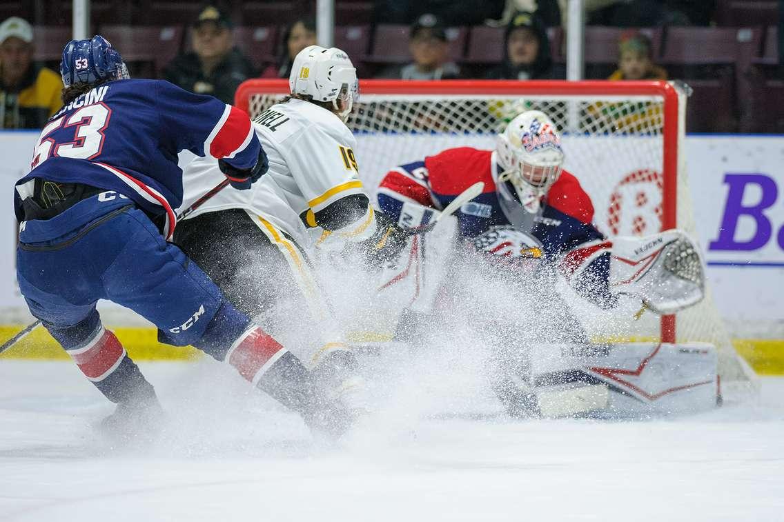 Sarnia Sting against Saginaw Nov 26, 2022. Photo by Metcalfe Photography.