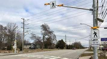 A pedestrian crossover on Michigan Avenue near Blackwell Road. November 10, 2018. (Photo by the City of Sarnia)