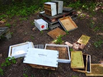 Bee hives damaged at Scouts Canada, Camp Attawandaron in Lambton Shores. June 30, 2021 photo courtesy of Imperial Sarnia.