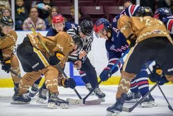 Oshawa at Sarnia Sting Dec 10, 2023. Photo by Metcalfe Photography. 