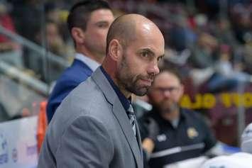 Sarnia Sting Head Coach Alan Letang (Photo courtesy of Metcalfe Photography)