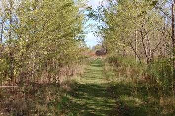 Perch Creek Habitat Management Area. August 2022. (Photo courtesy of St. Clair Region Conservation Authority and County of Lambton.)