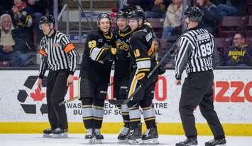 Sarnia Sting home to Sudbury, Jan 18, 2025. Photo by Metcalfe Photography. 