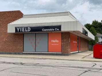 Yield Cannabis Co. 1000 Finch Dr. Unit 9 BlackburnNews.com photo by Melanie Irwin