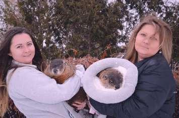 Left to Right, Heaven Jenkins with Harvey, Peggy Jenkins with Oil Springs Ollie at Heaven's Wildlife Rescue.