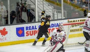 Sarnia Sting forward Liam Beamish scores against Guelph - Mar 2/25 (Photo courtesy of Metcalfe Photography)