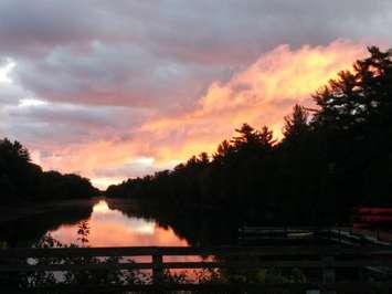 Pinery Provincial Park. Photo courtesy of  @PineryProvPark via twitter.