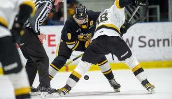 Sarnia Sting host Kingston Frontenac's at Progressive Auto Sales arena on March 10, 2024 (Metcalfe Photography)