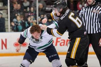The Sting's Noah Bushnell fought twice in a 5-2 win over Plymouth Jan. 16, 2015 (Photo courtesy of Metcalfe Photography)