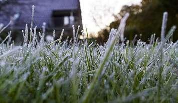 Frost on the grass. File photo courtesy of © Can Stock Photo / klaphat