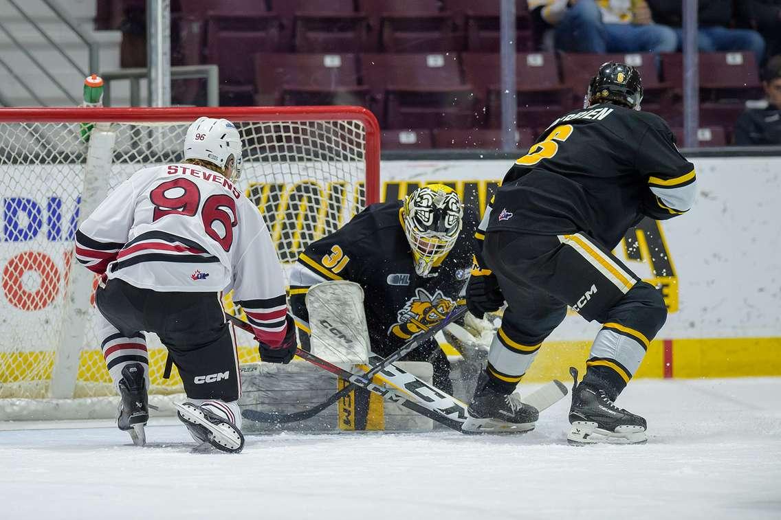 Guelph Storm at Sarnia, February 12, 2025. Photo by Metcalfe Photography. 