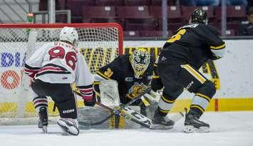 Guelph Storm at Sarnia, February 12, 2025. Photo by Metcalfe Photography. 