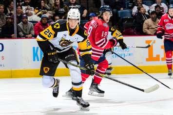 Brendan Anderson with the Hamilton Bulldogs. Photo by Brandon Taylor / OHL Images