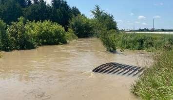 Flooding in Brigden - July 16/24 (Submitted photo)