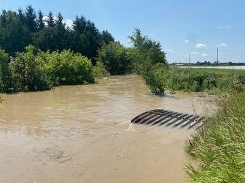 Flooding in Brigden - July 16/24 (Submitted photo)