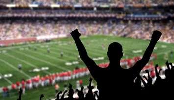 Fan celebrating a victory at a american football game. © Can Stock Photo / djpadavona