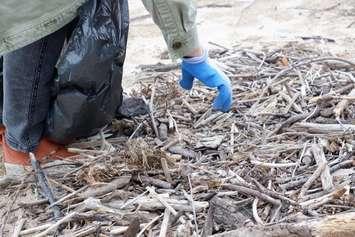 Beach cleanup. Photo courtesy of the St. Clair Region Conservation Authority. 