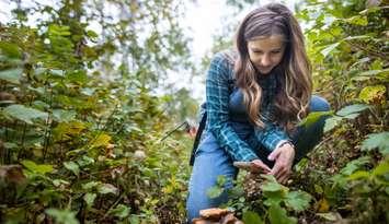 Participant in NCC BioBlitz (Image courtesy of the Nature Conservancy of Canada)