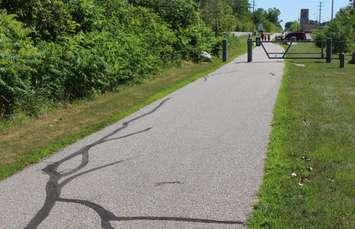 Chrysler Canada Greenway trail in the Town of Essex, July 31, 2015. (Photo by Mike Vlasveld)