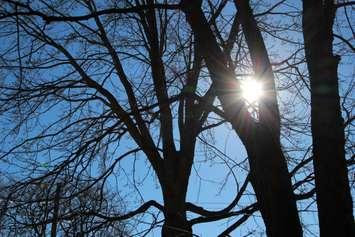 Record Warm Feb 18 2017 (Photo by Dave Dentinger)