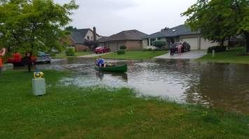 A resident of Fanshawe Drive in Sarnia paddles a canoe down the residential street. June 16, 2016 (Photo submitted by Carolyn Hough)