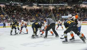 The Sarnia Sting hosted the Flint Firebirds on March 21/25 (Photo by: Darren Metcalfe Photography)