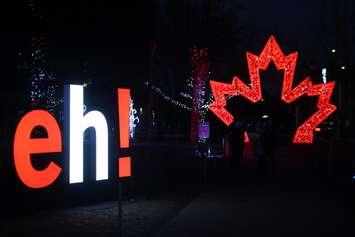 Bright Lights Windsor, Jackson Park, January 7, 2020. Photo by Mark Brown/Blackburn News.