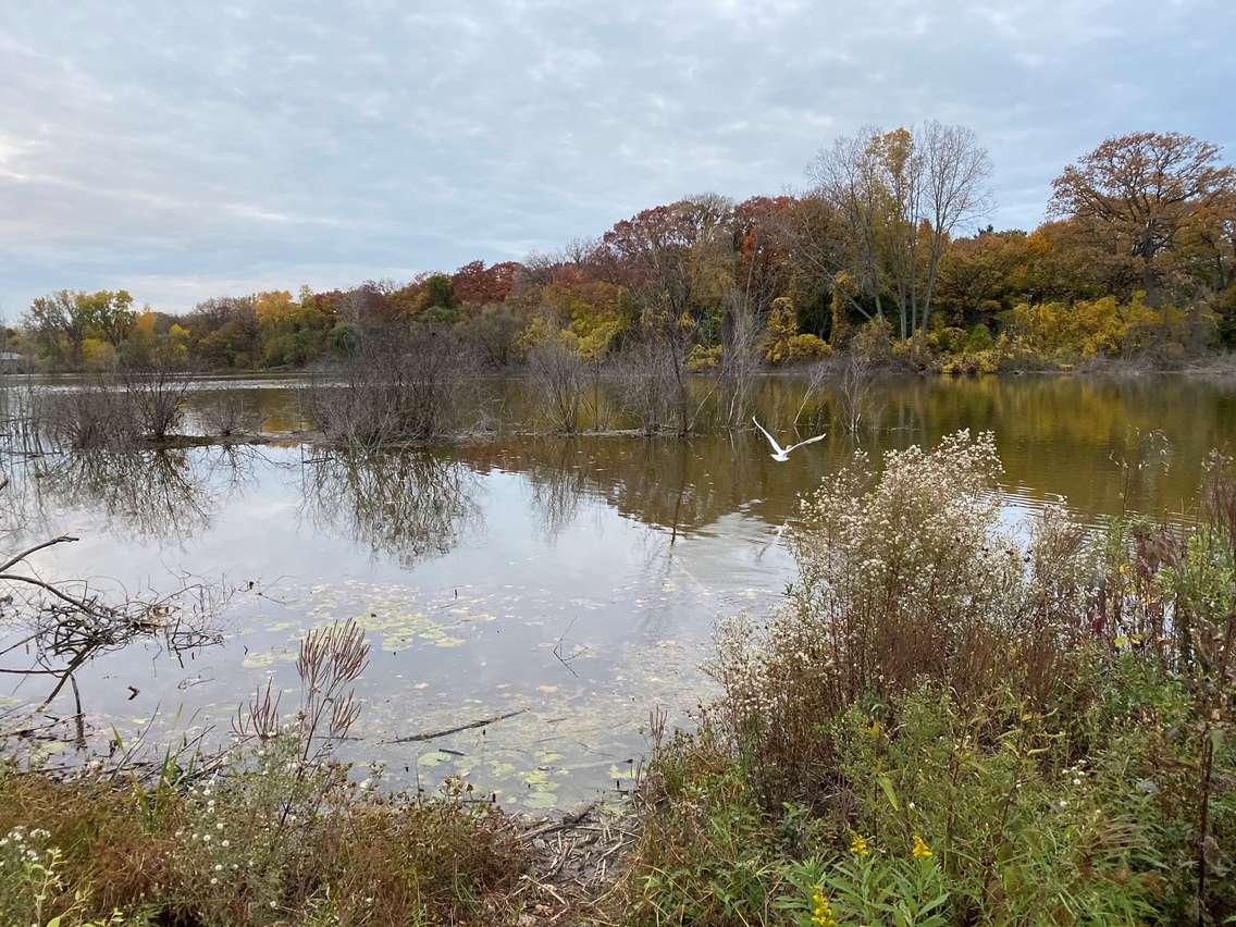 Lake Chipican at Canatara Park in Sarnia. SarniaNewsToday.ca file photo by Melanie Irwin