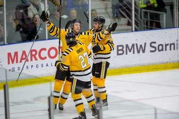 Sarnia Sting home to the Windsor Spitfires February 4, 2024. Photo by Metcalfe Photography. 