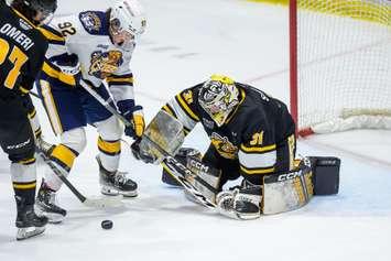 The Sarnia Sting at home against the Erie Otters on February 9, 2024(supplied by: Metcalfe Photography)