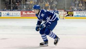 Jack Van Volsen - Photo courtesy of OHL Images