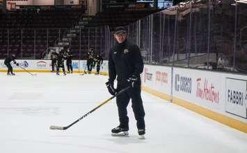 Sting Assistant Coach David Matsos (Photo courtesy of Sarnia Sting Hockey Club)