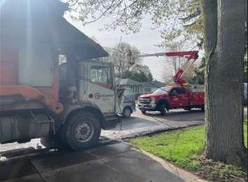 Crews work to fix downed power lines on Gladys Street in Bright's Grove. Photo courtesy of Sarnia Police.