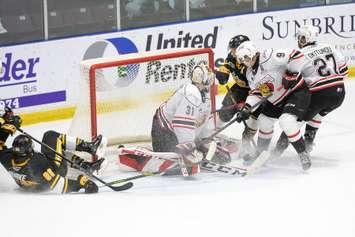 Sarnia Sting vs. Owen Sound Attack. January 21, 2022. (Photo courtesy of Metcalfe Photography)