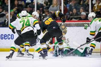 Sting against Knights on March 3, 2023. (Photo courtesy of Metcalfe Photography)