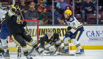 Erie Otters at Sarnia Sting, March 12, 2025. Photo by Metcalfe Photography. 